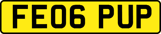 FE06PUP