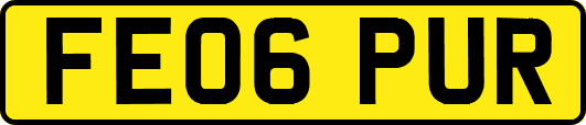 FE06PUR