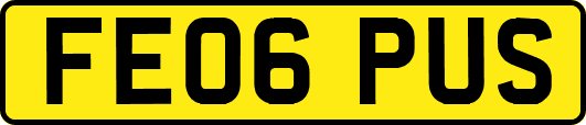FE06PUS