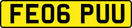 FE06PUU