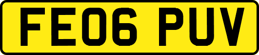FE06PUV