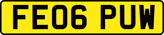 FE06PUW