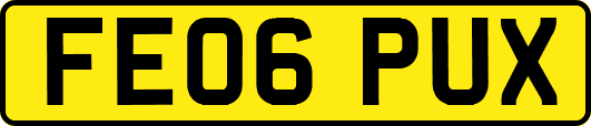 FE06PUX