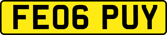 FE06PUY