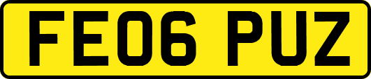 FE06PUZ