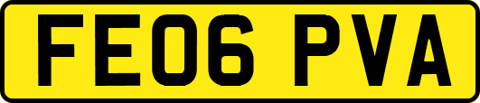 FE06PVA