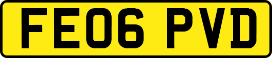 FE06PVD