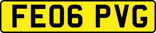 FE06PVG