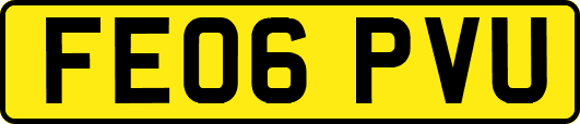 FE06PVU