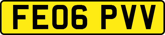 FE06PVV