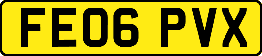 FE06PVX