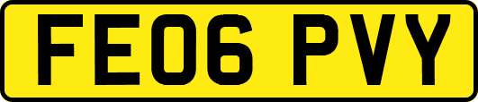 FE06PVY