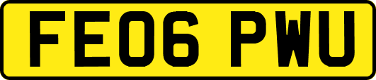 FE06PWU