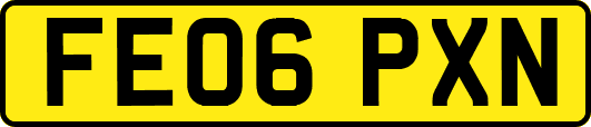 FE06PXN
