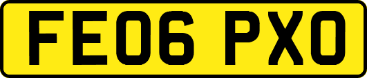 FE06PXO