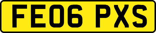 FE06PXS