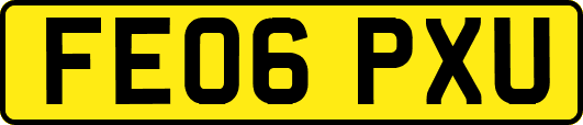 FE06PXU