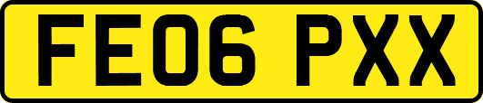 FE06PXX