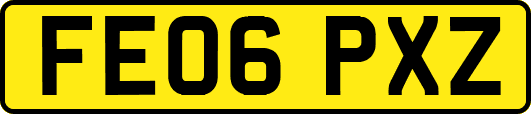 FE06PXZ