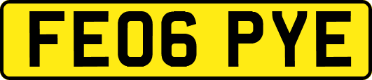 FE06PYE