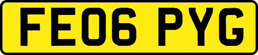 FE06PYG
