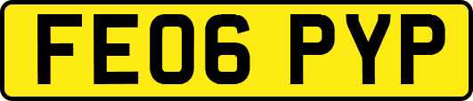 FE06PYP