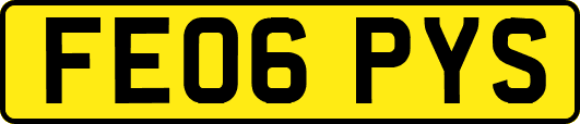 FE06PYS