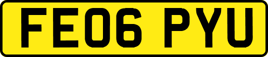 FE06PYU