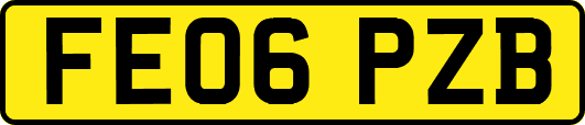 FE06PZB