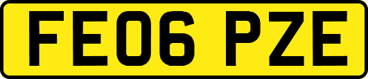 FE06PZE