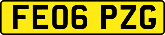 FE06PZG