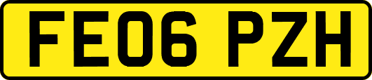 FE06PZH