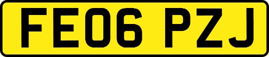 FE06PZJ