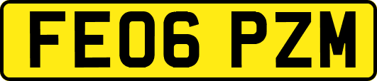 FE06PZM