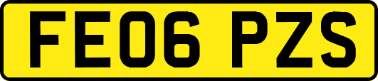 FE06PZS