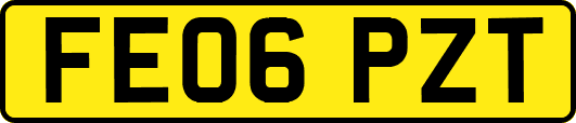 FE06PZT