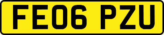 FE06PZU