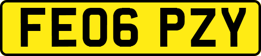 FE06PZY
