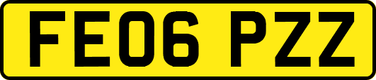 FE06PZZ