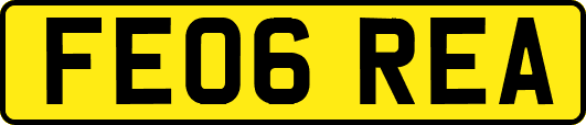 FE06REA