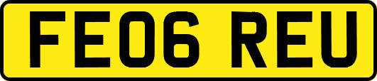 FE06REU