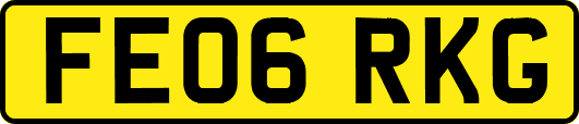 FE06RKG