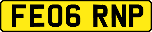FE06RNP