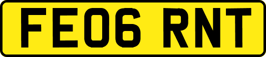 FE06RNT