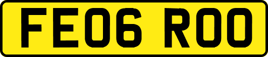 FE06ROO
