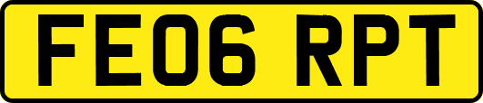 FE06RPT