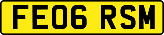 FE06RSM