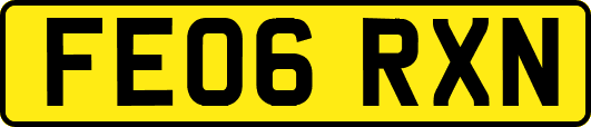 FE06RXN