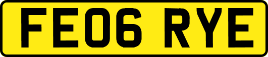 FE06RYE