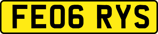 FE06RYS